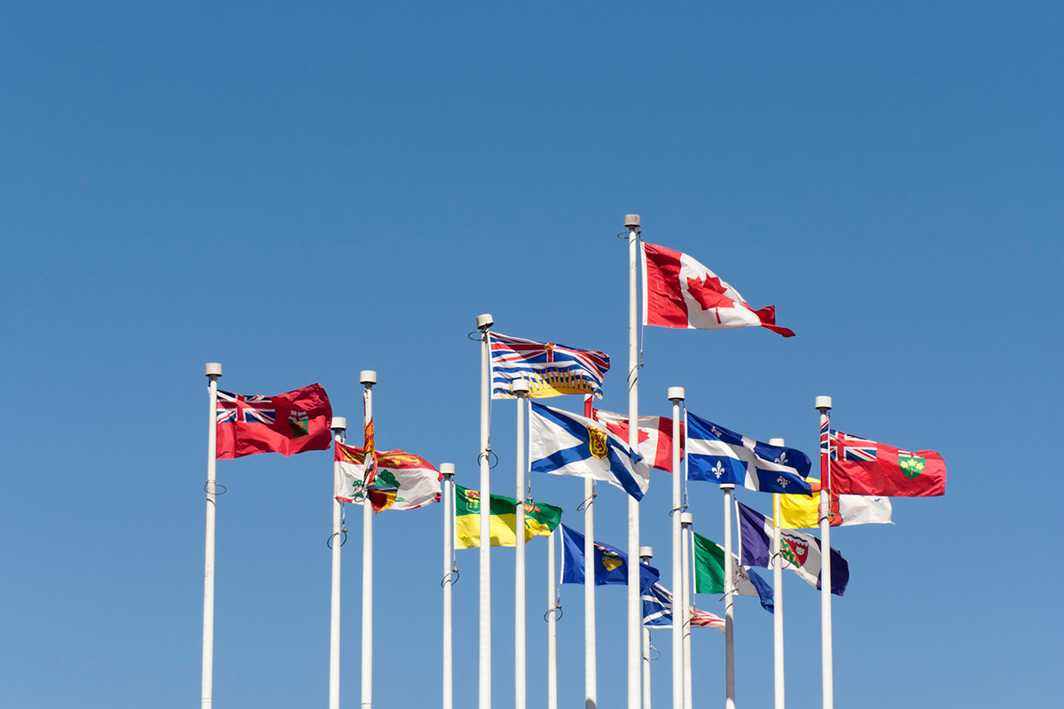 global immigration consultant